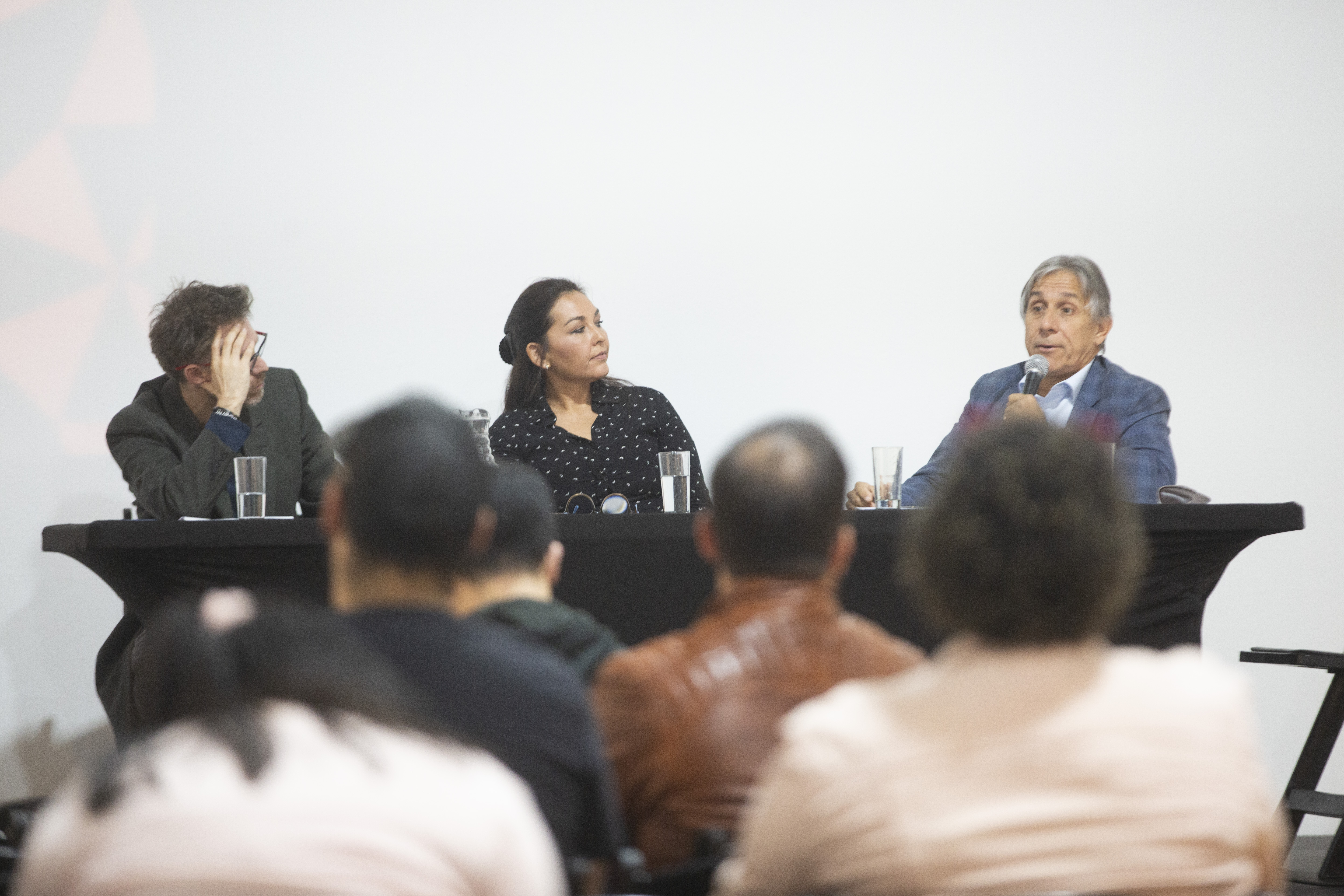 Panel Micsur 2024